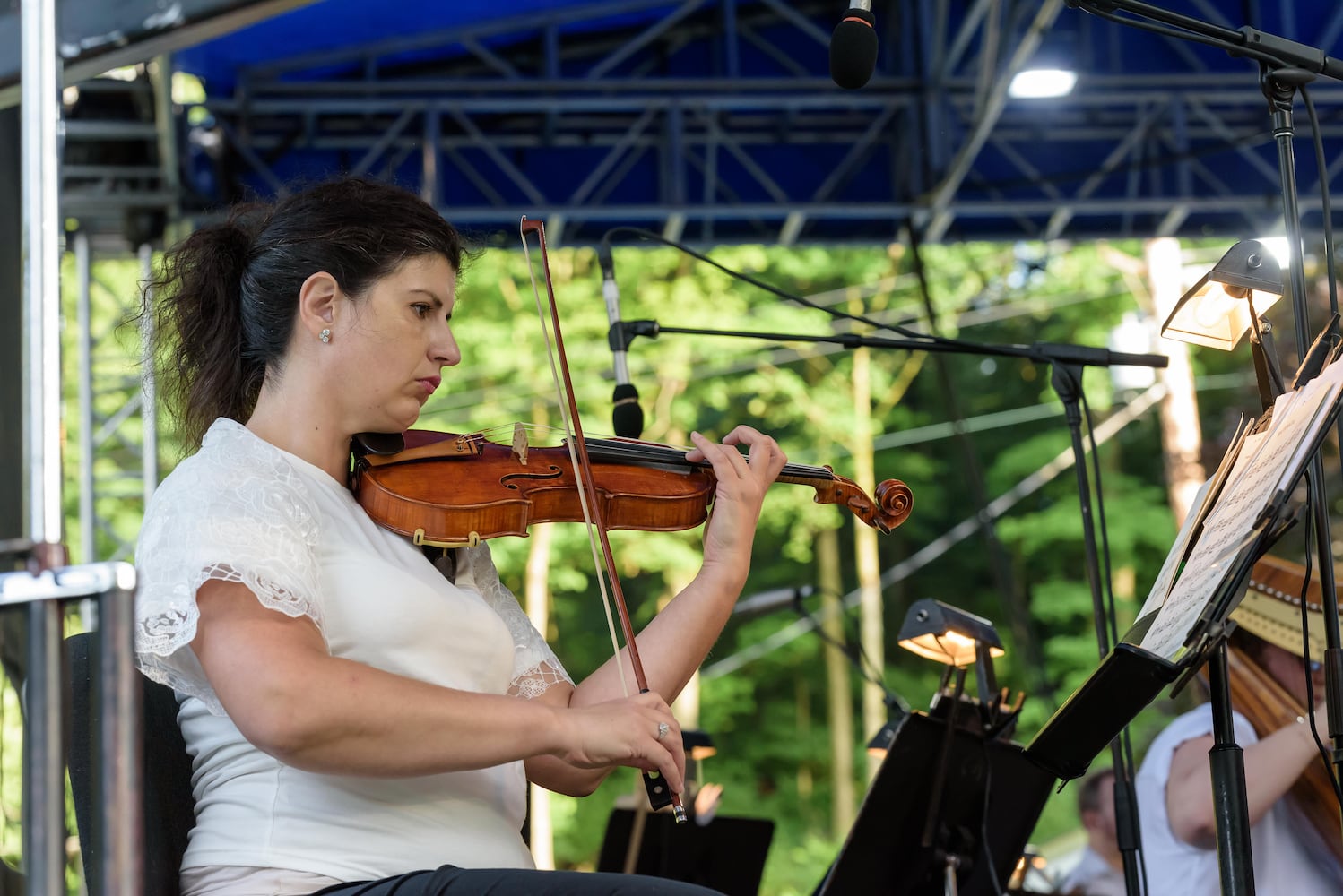 PHOTOS: Heritage Day with the Dayton Philharmonic Orchestra at Carillon Historical Park