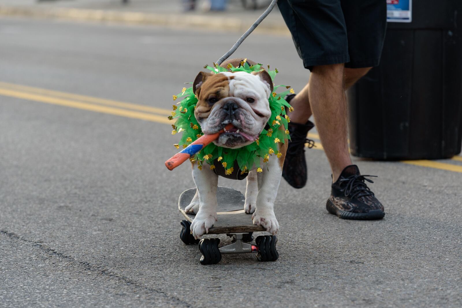 Downtown Tipp City celebrates St. Patrick's Day with its annual St. Patrick's Day 3.1 Beer Run. TOM GILLIAM / CONTRIBUTING PHOTOGRAPHER