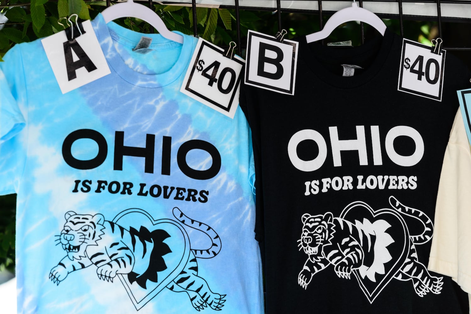 PHOTOS: The Ohio Is For Lovers Festival hosted by Hawthorne Heights Live at Riverbend Music Center