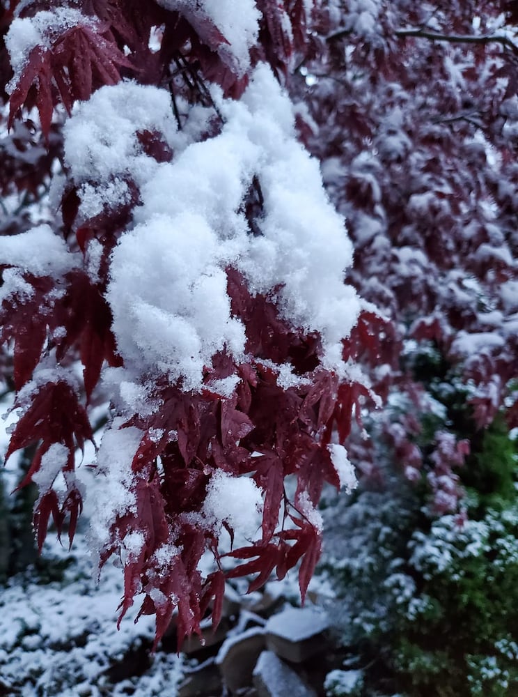 PHOTOS: Snowfall in April in the Miami Valley