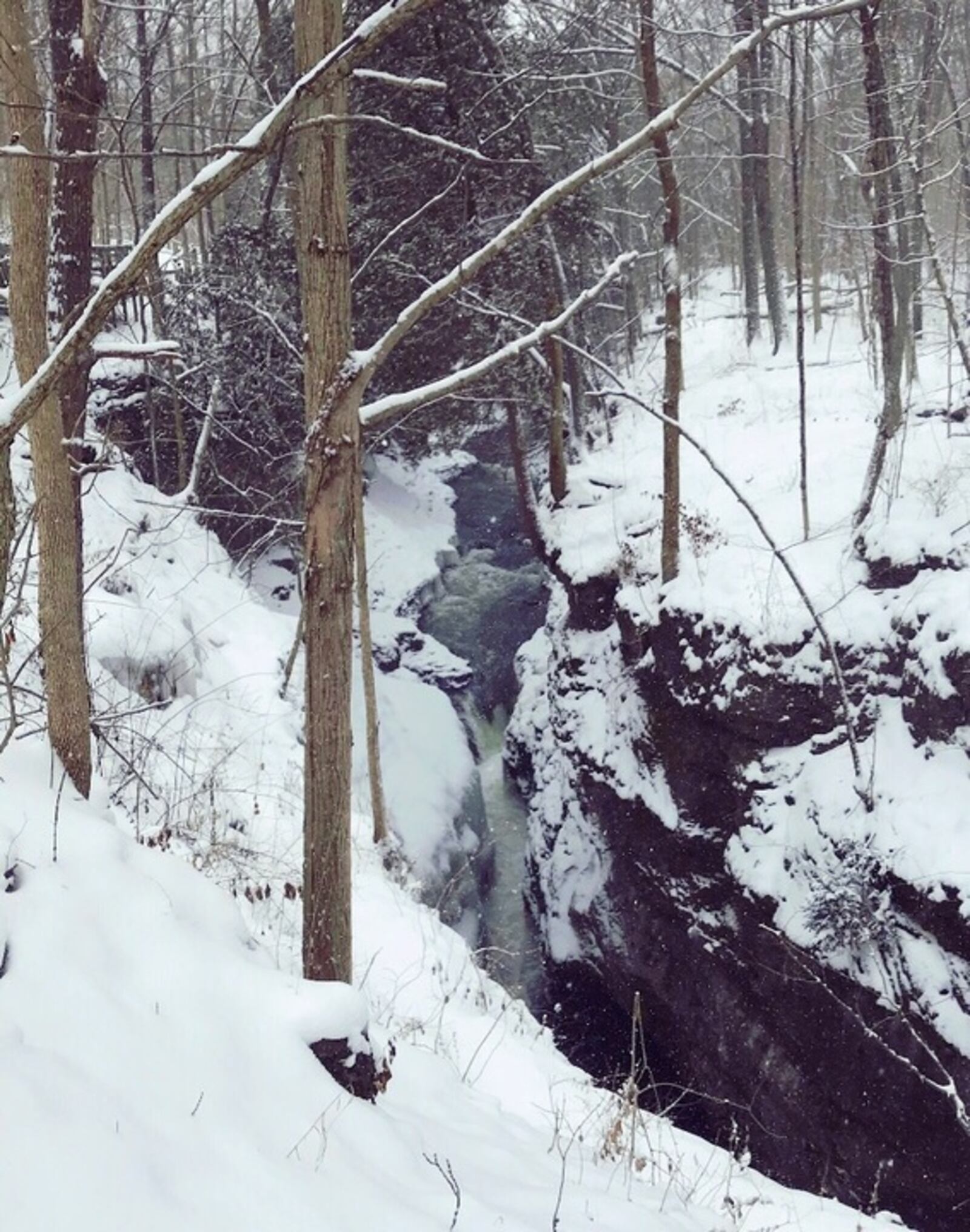 Clifton Gorge transforms into a true winter wonderland when temperatures drop low and snow fall is heavy.