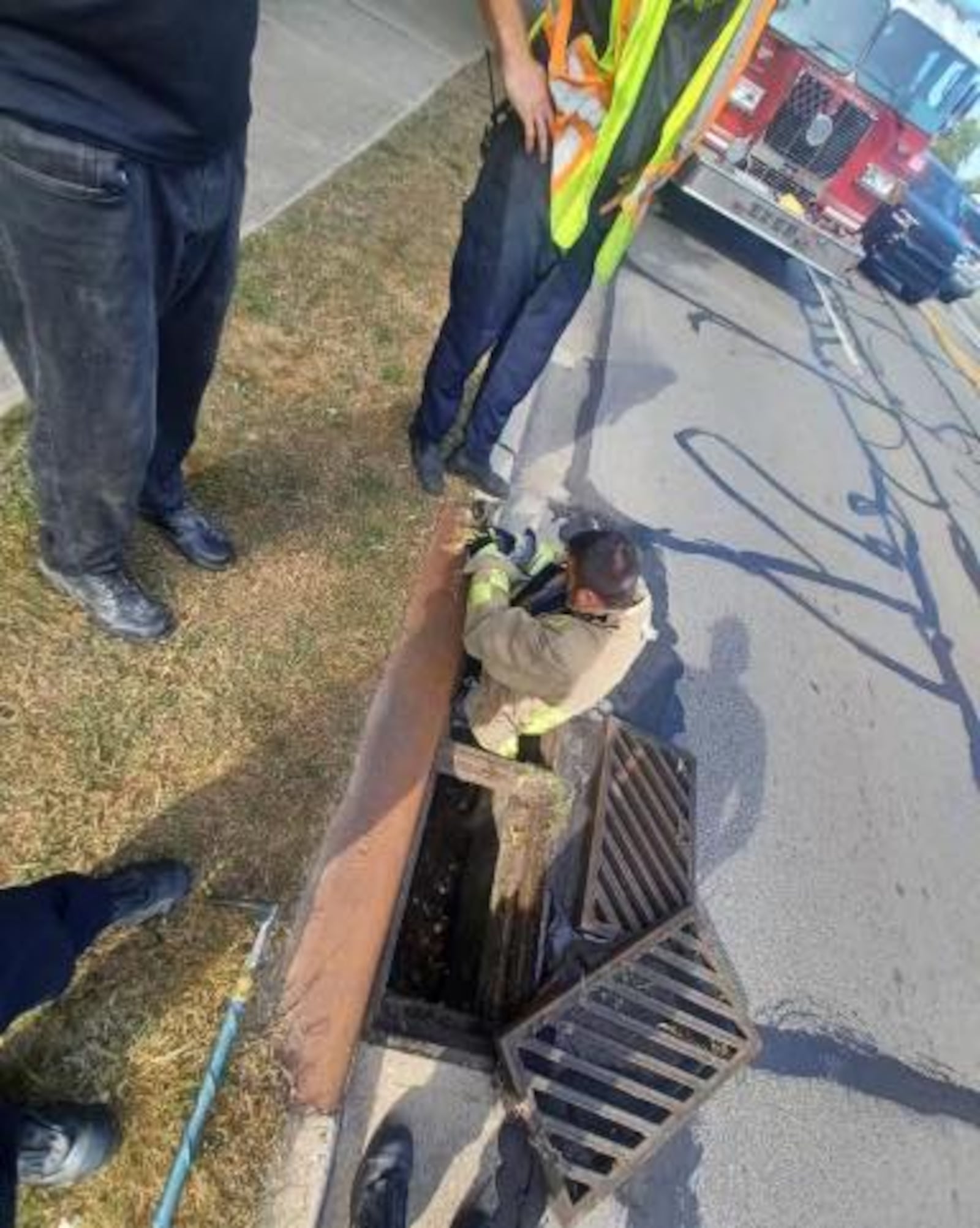 Fire crews rescued a female Yorkshire terrier trapped in a storm drain on Brandt Pike Thursday, Sept. 21, 2023, in Huber Heights. CONTRIBUTED