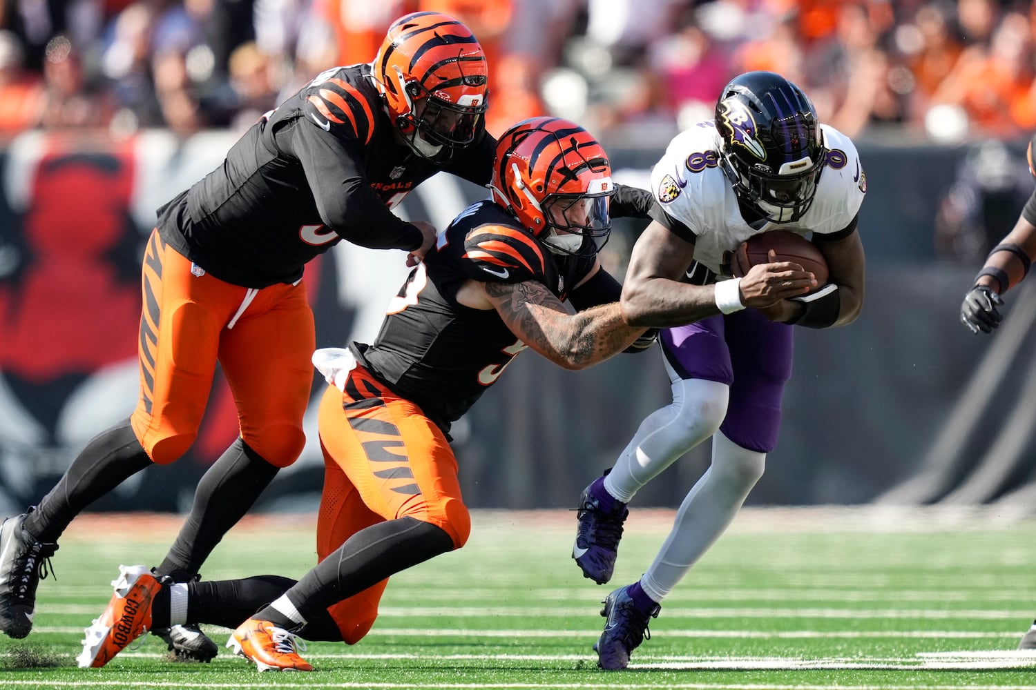 Ravens Bengals Football