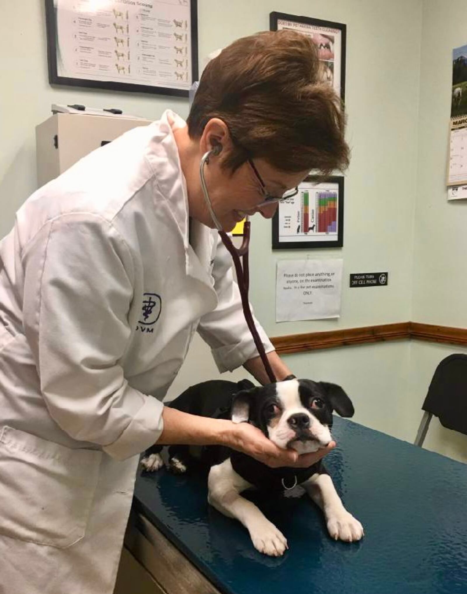 Dr. Patricia Haines smiles during her examination of a very confused dog at the Pony Express Veterinary Hospital in Xenia.