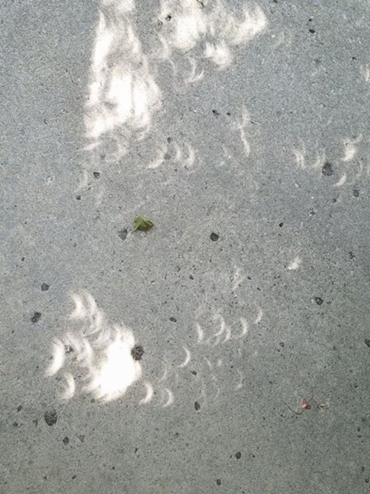 PHOTOS: The solar eclipse in the Miami Valley