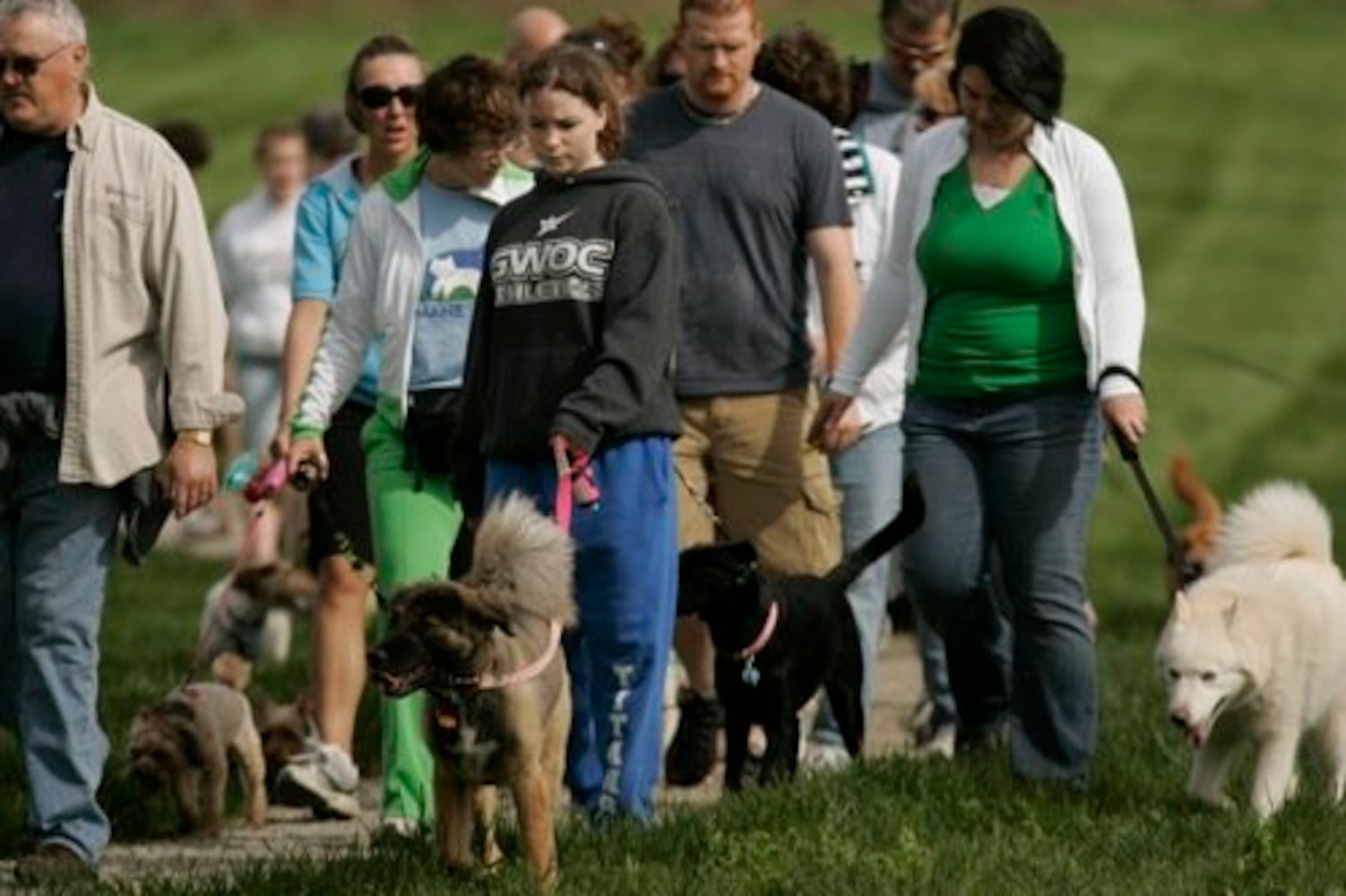 Furry Scurry walk