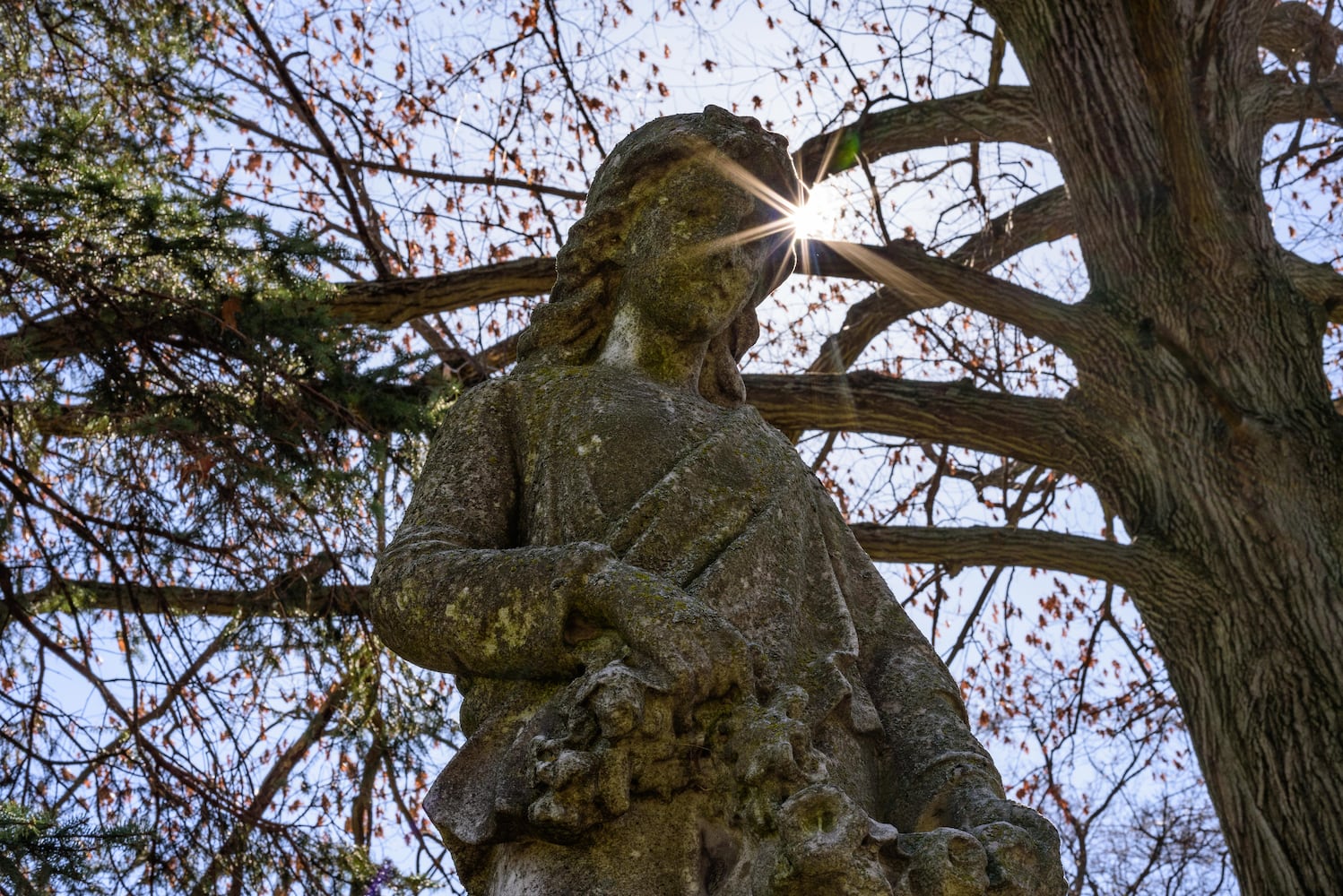 PHOTOS: Woodland Historic Tour at Woodland Cemetery & Arboretum