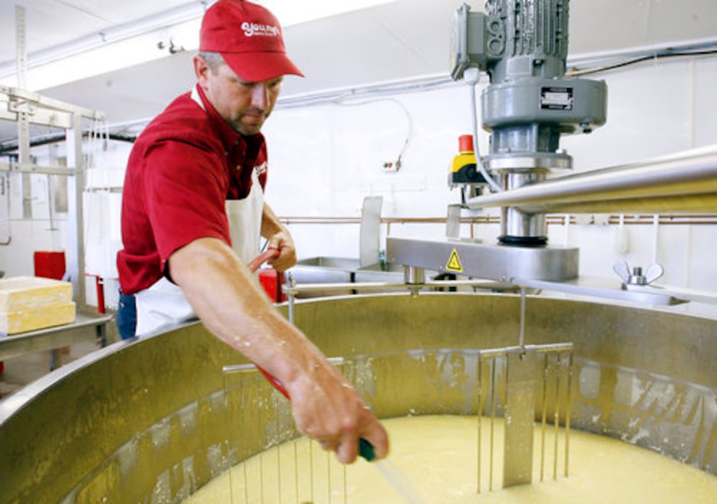 Young's Jersey Dairy makes cheese