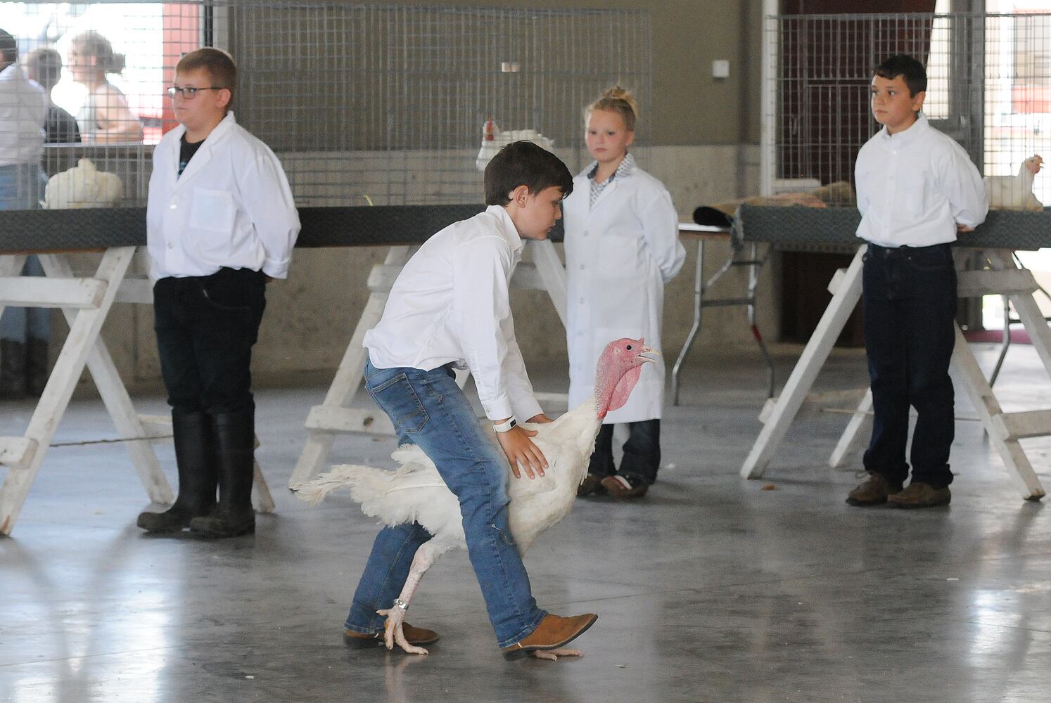 PHOTOS: Montgomery County Livestock Exposition goes on amid social distancing, precautions