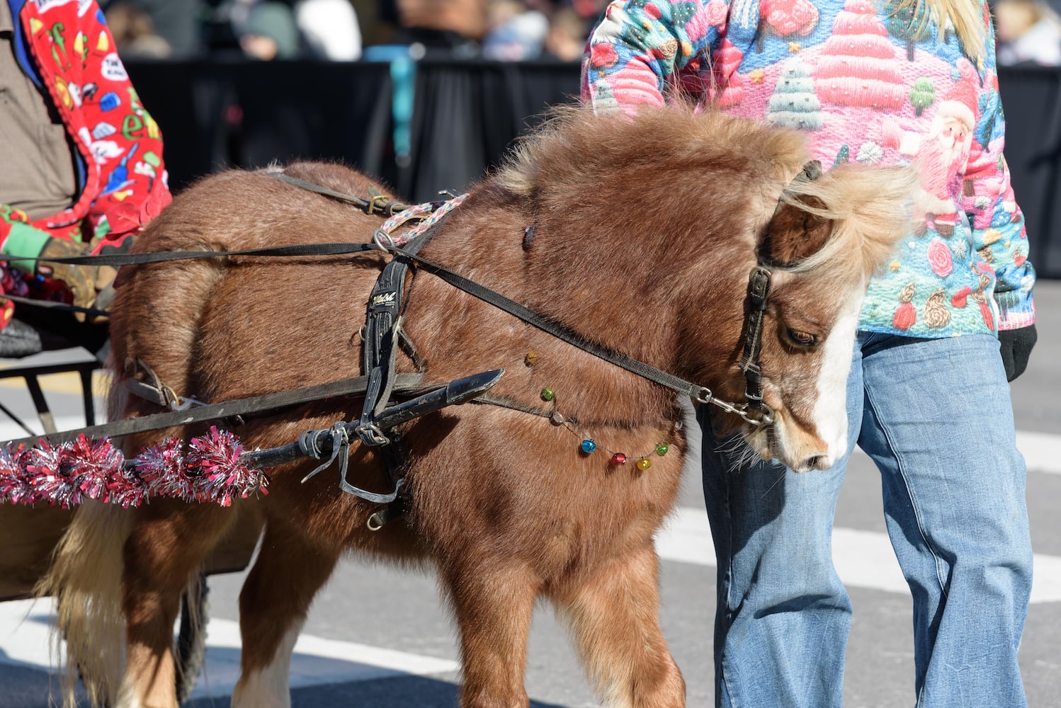 PHOTOS: 35th annual Lebanon Horse-Drawn Carriage Parade & Festival