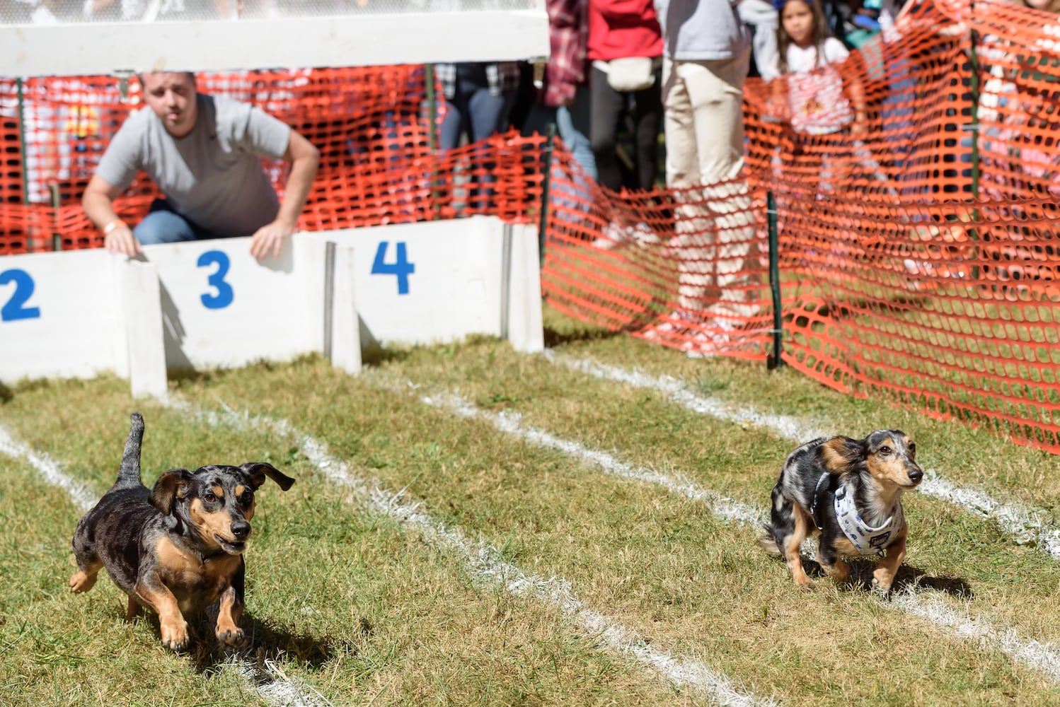 PHOTOS: 2024 Oktoberfest Springboro