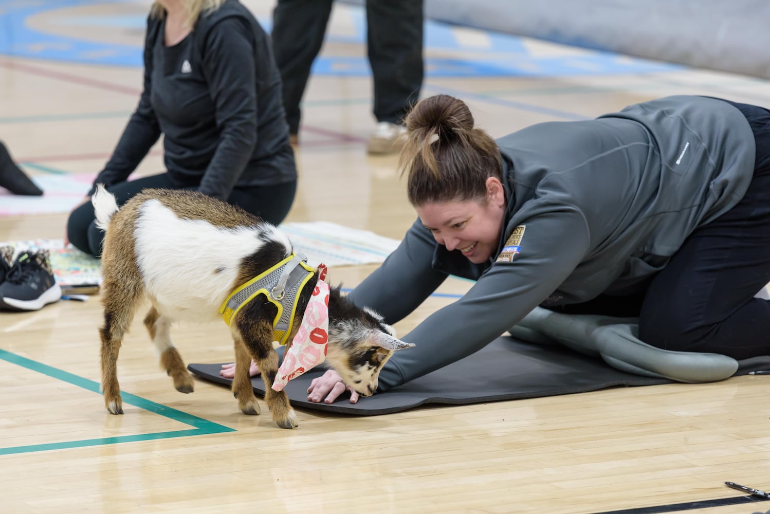 PHOTOS: Sweetheart Goat Yoga at Vandalia Recreation Center