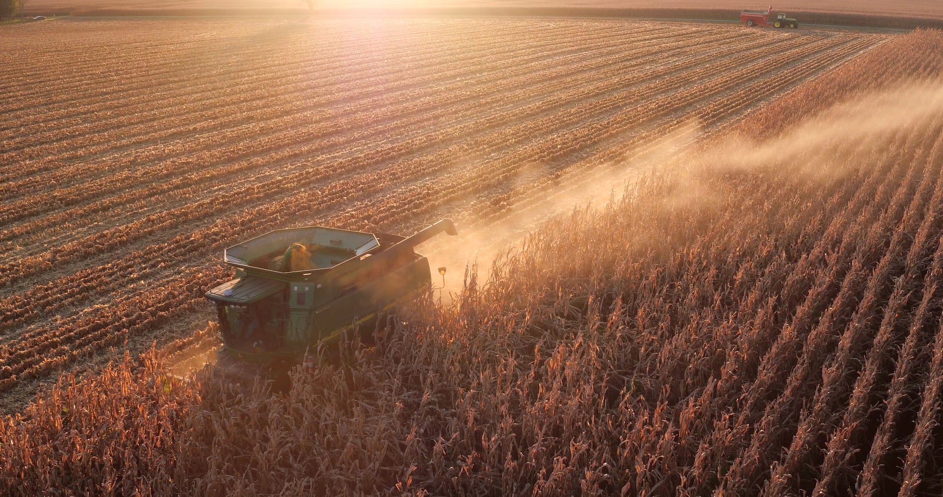 Ohio farmers face tough decisions amid trade war crossfire