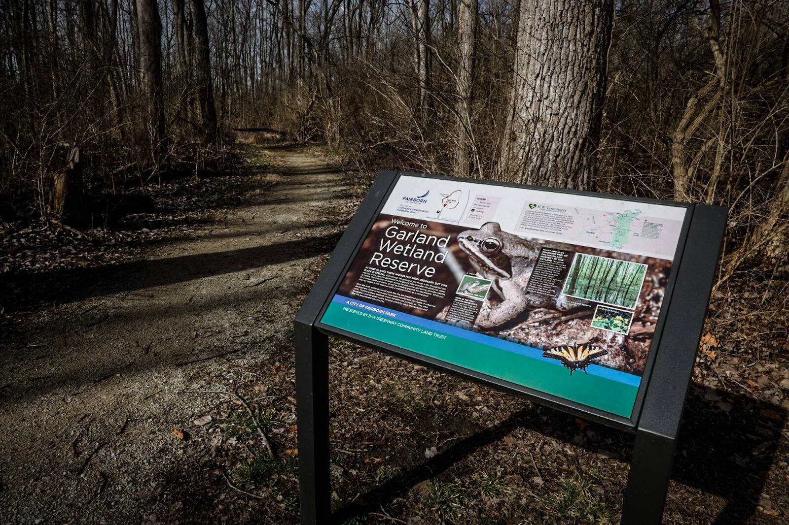 The City of Fairborn received ownership of a 9-acre wetland at the intersection of Garland Avenue and Commerce Boulevard. JIM NOELKER/STAFF