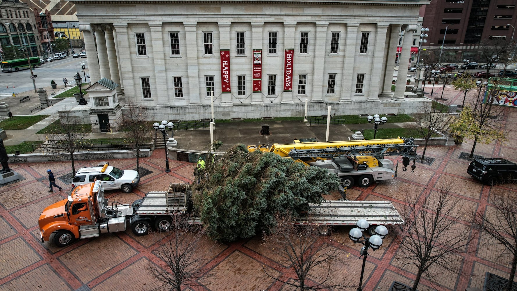 Dayton Christmas Tree