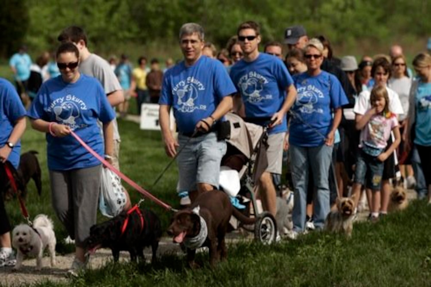 Furry Scurry walk