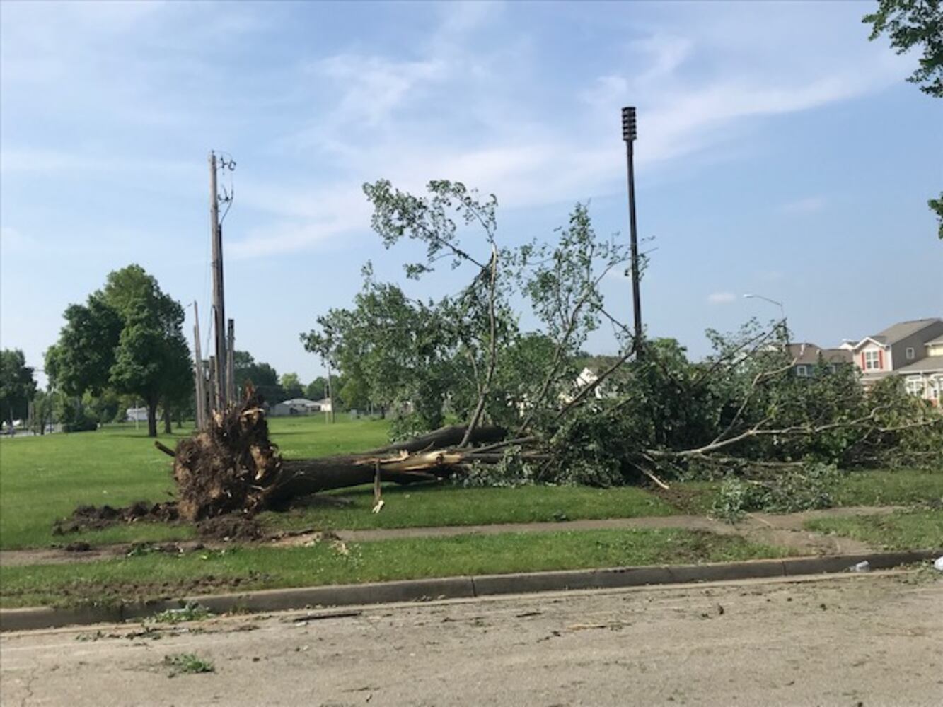 PHOTOS: Daylight reveals widespread damage from Monday storms