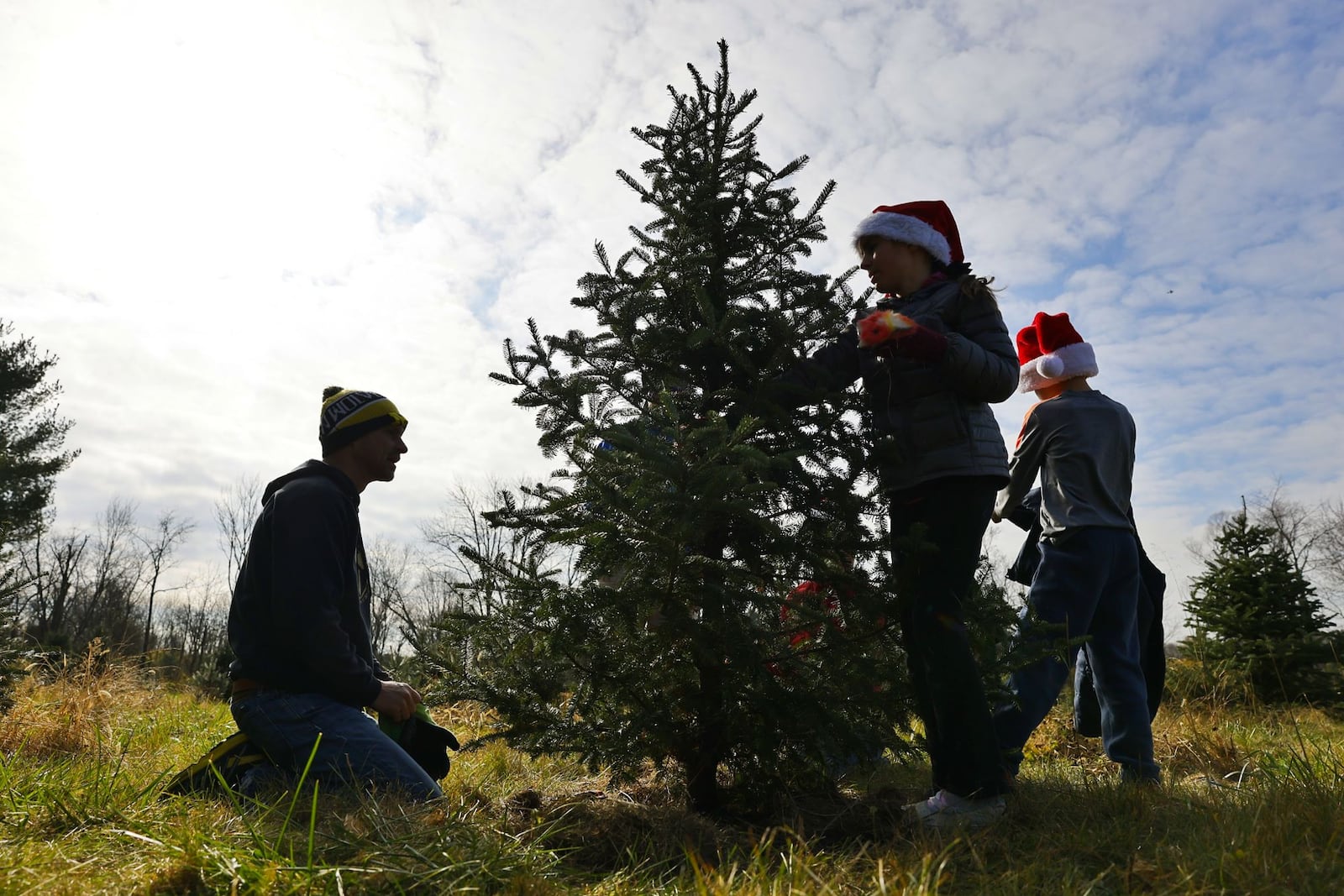 The Gotz family selects and cuts their Christmas tree at Berninger Christmas Trees and Wreaths Friday, Nov. 24, 2023 in Turtlecreek Twp. NICK GRAHAM/STAFF