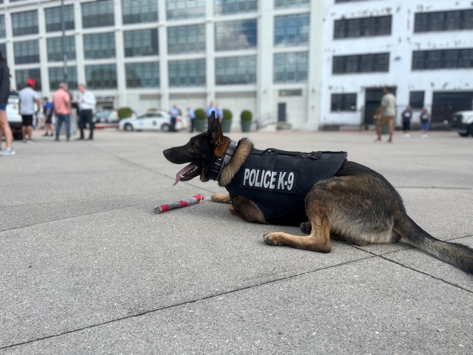 A Dayton police K-9 at a community event outside of Day Air Ballpark in downtown Dayton. CORNELIUS FROLIK / STAFF