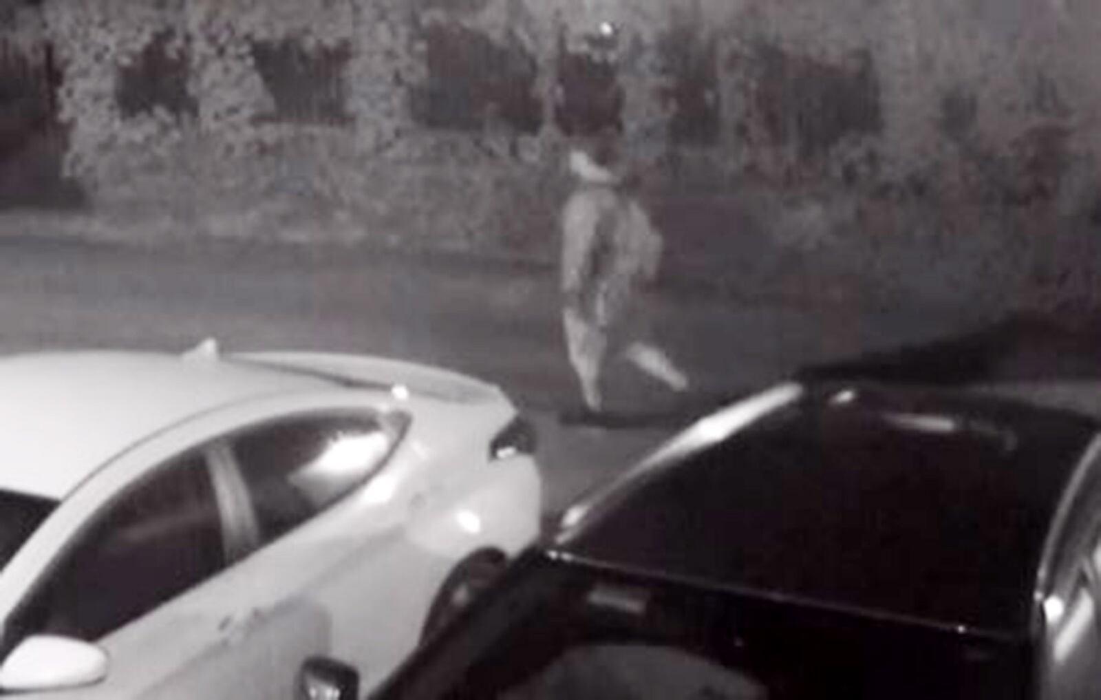 Surveillance video provided by the Dayton Police Department shows shooter Connor Betts walking east in the alley behind Newcom’s at 12:55 a.m. on Sunday, August 4, with a heavy backpack about 10 minutes before he opened fire on East Fifth Street, killing nine and injuring more than two dozen. DAYTON POLICE DEPARTMENT