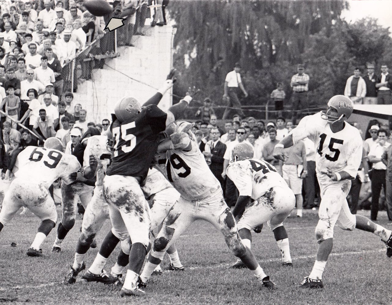 Bengals took the field 50 years ago