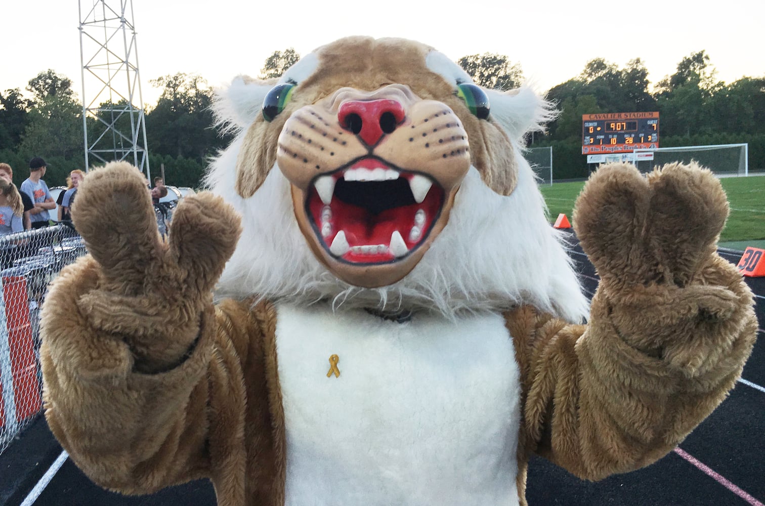 PHOTOS: No. 1 Minster at No. 1 Coldwater, Week 4 football