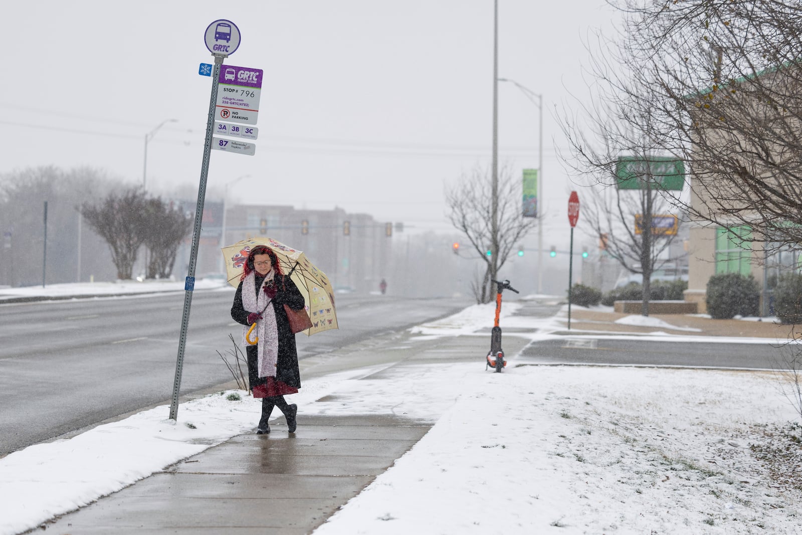 Paige Anderson waits for the bus on Cowardin Avenue as snow falls, Wednesday, Feb. 19, 2025, in Richmond, Va. (Margo Wagner/Richmond Times-Dispatch via AP)