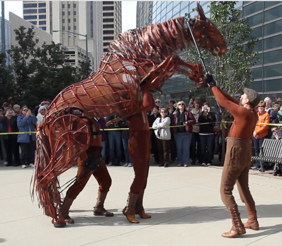 War Horse