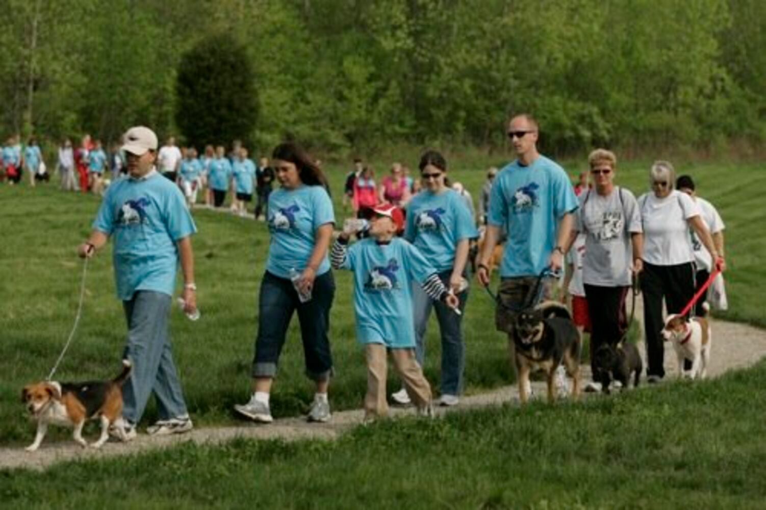 Furry Scurry walk