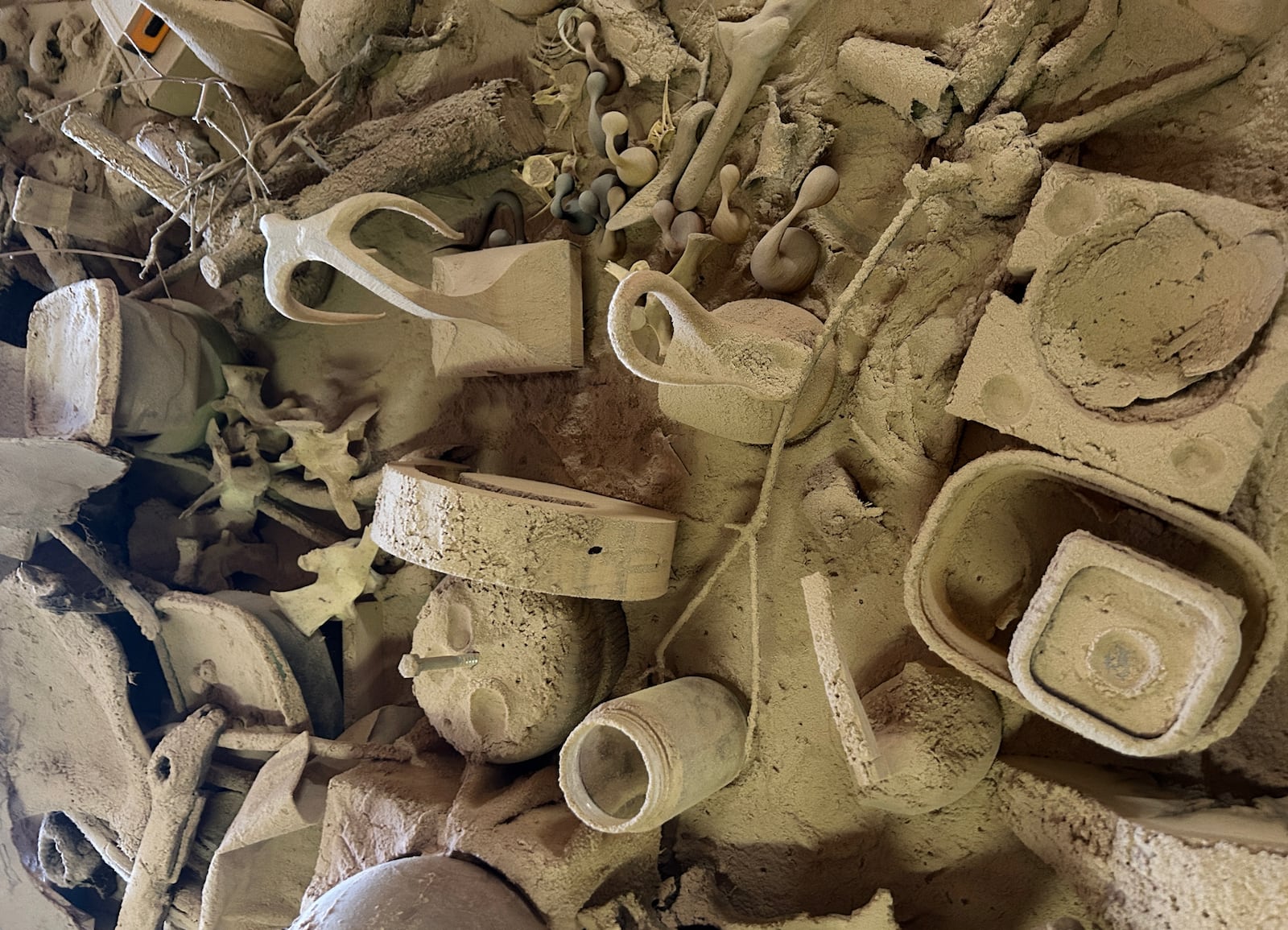 A table of curiosities in the studio of Shon Walters, coated in wood dust.