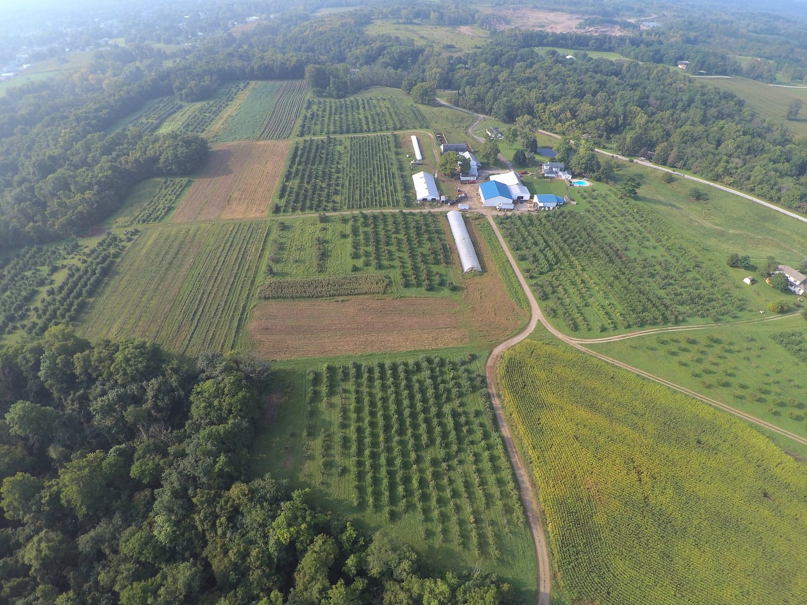 An aerial view of Wesler Orchards in New Paris, where several varieties of apples are available for u-pick.