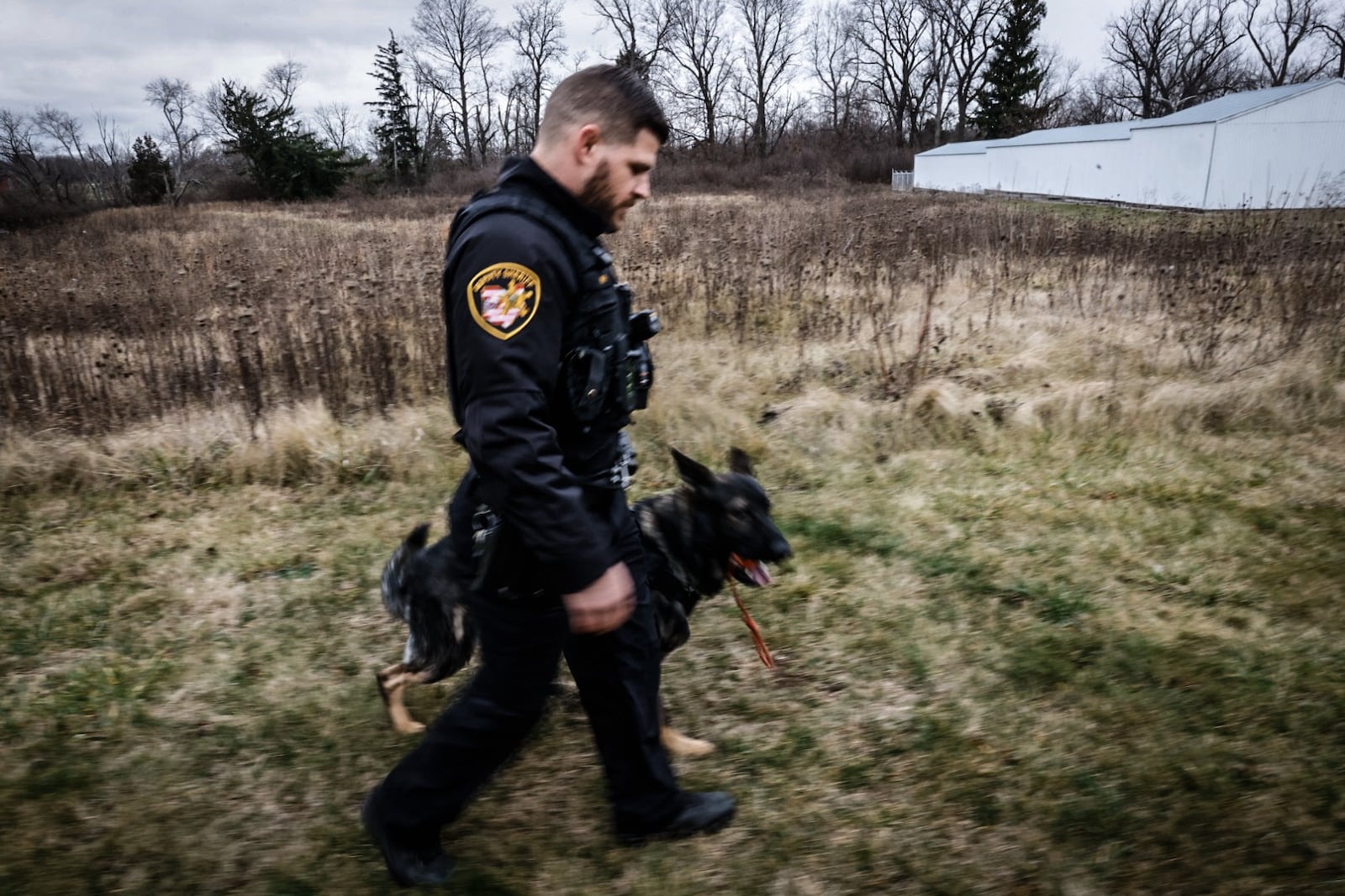 Montgomery County sheriff K9 deputy Jesse Walker plays with Bart a two and a half year old German Shepard. Jim Noelker/Staff