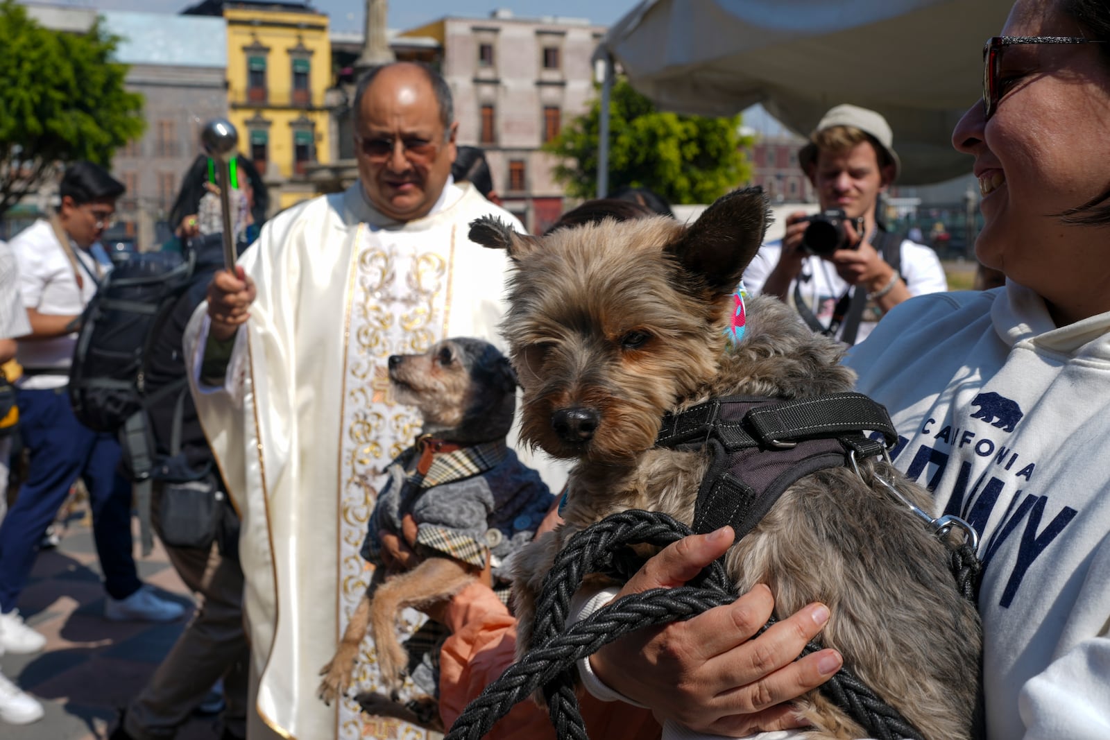 Rev. José Antonio Carballo, rector of the Metropolitan Cathedral, celebrates the annual blessing of the animals Mass at Mexico City's Metropolitan Cathedral, Friday, Jan. 17, 2025. (AP Photo/Marco Ugarte)