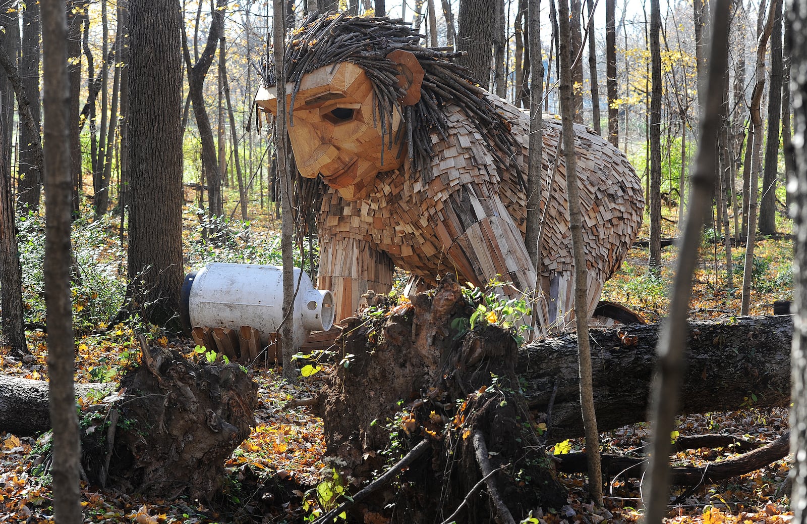 Artist Thomas Dambo debuts a new troll exhibit at Aullwood Audubon Center and Farm. The trolls Bo, Bodil (shown discovering an egg) and Bibbi and their troll-sized nest have found their home in Dayton. "The Troll That Hatched an Egg" is one of only nine Dambo-created exhibitions in the United States and Puerto Rico. MARSHALL GORBY\STAFF