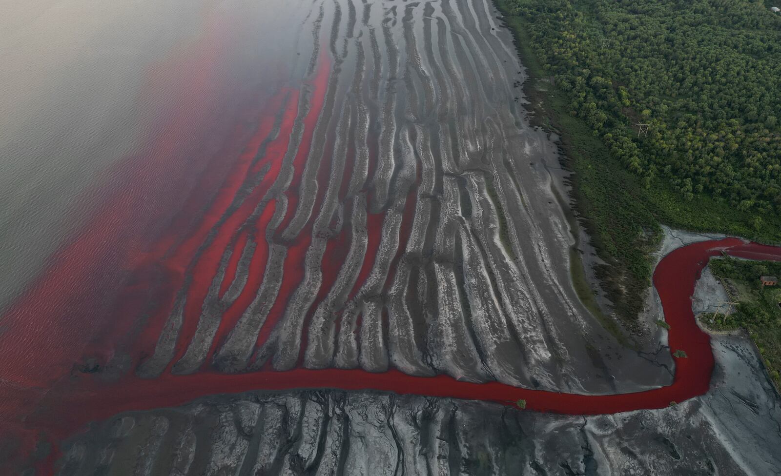 An aerial view of the "Sarandi" stream dyed red due to unknown contaminants allege residents, in an industrial neighborhood on the outskirts of Buenos Aires, Argentina, Thursday, Feb. 6, 2025. (AP Photo/Rodrigo Abd)