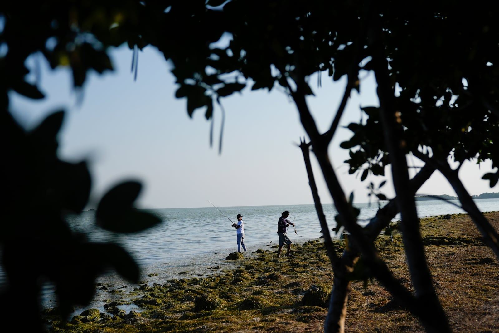 Men fish in Florida Bay from the shoreline of Florida's Everglades National Park, Saturday, May 18, 2024. (AP Photo/Rebecca Blackwell)