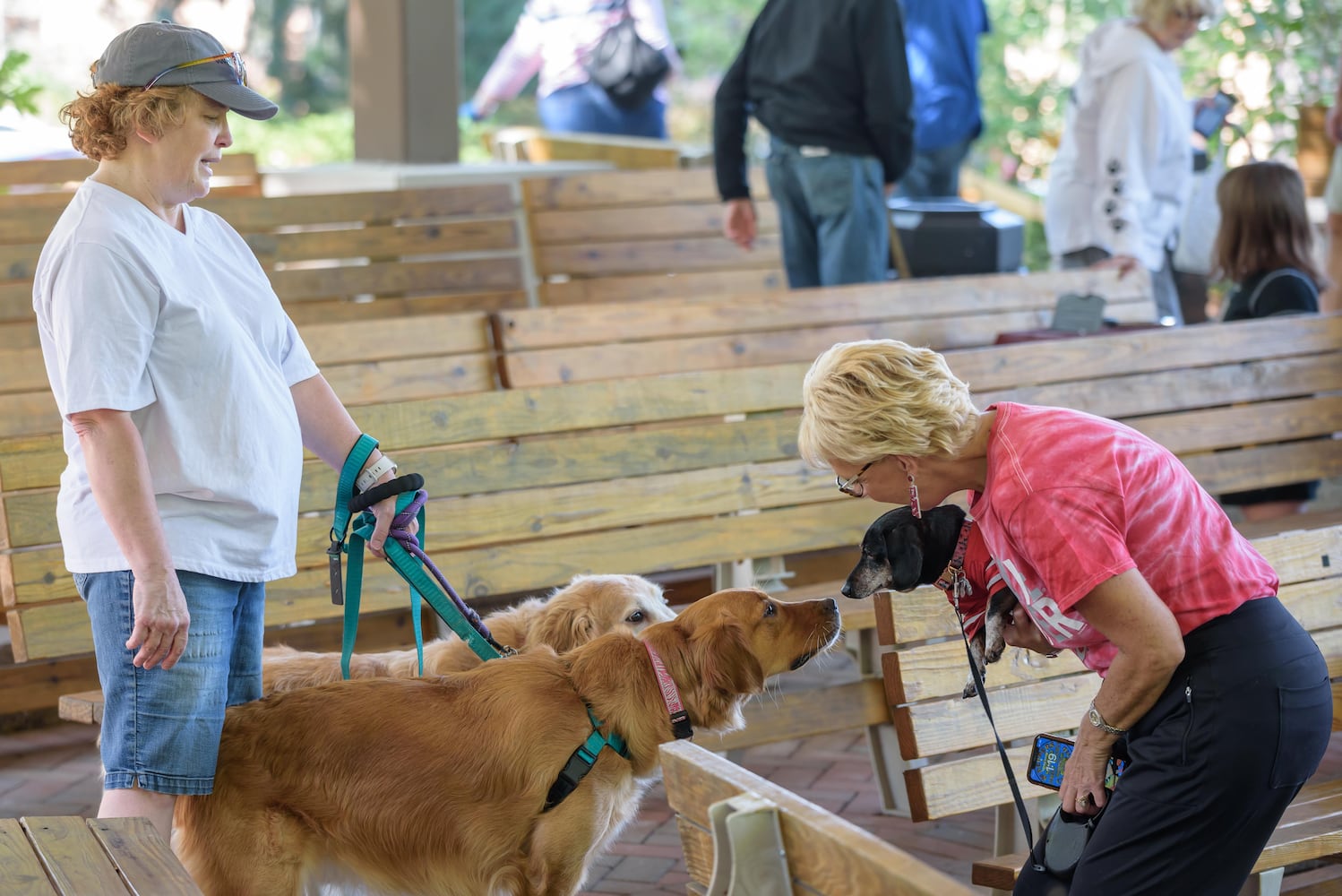 PHOTOS: 2024 Blessing of the Animals at Epiphany Lutheran Church