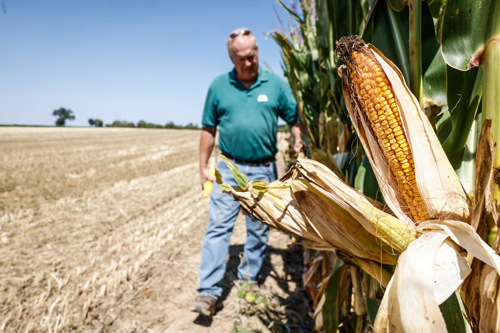 Greene County farmer and former teacher Craig Corry keeps an eye on his field corn. Drought conditions have covered most of the state Ohio. JIM NOELKER/STAFF