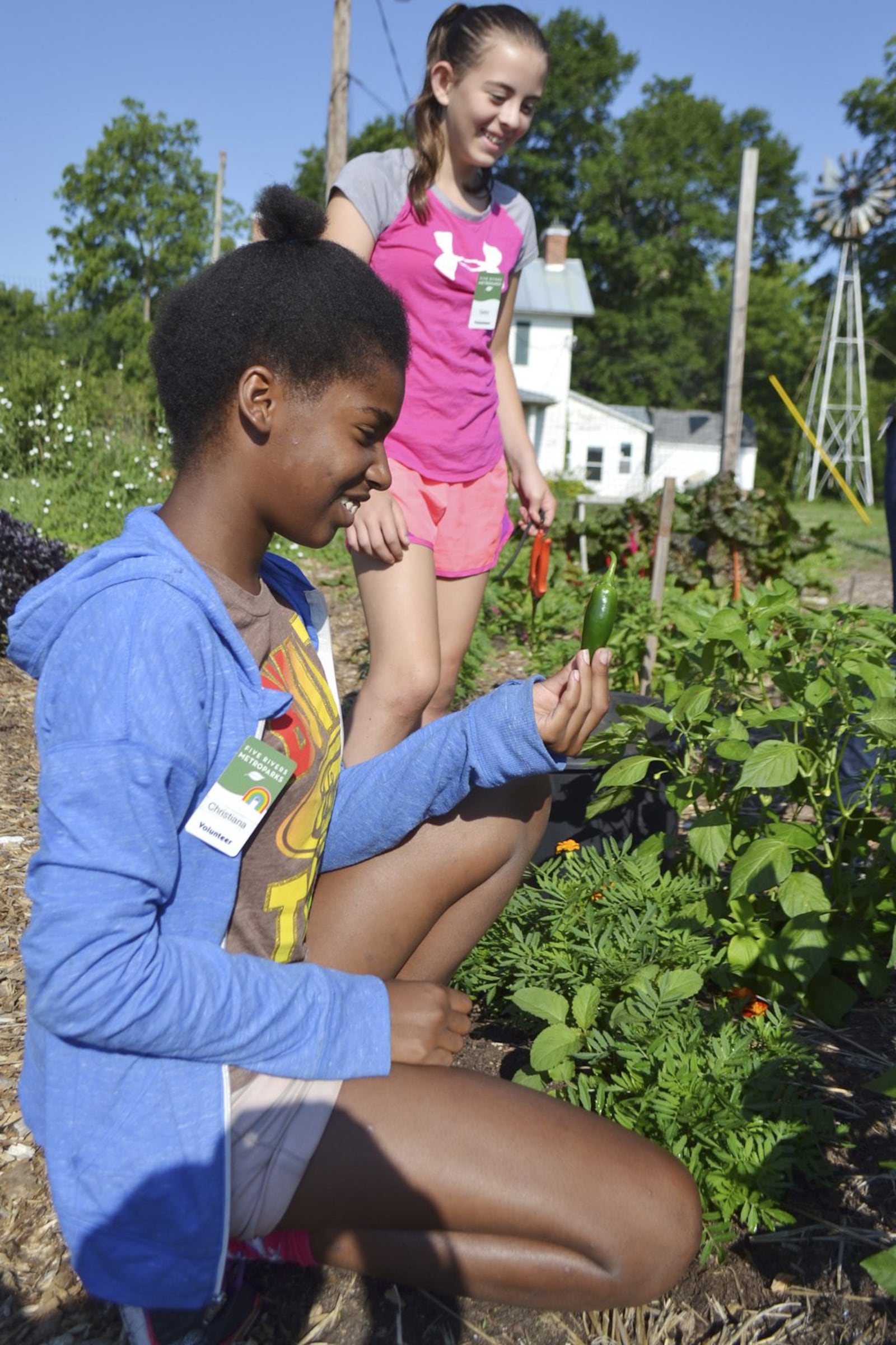 Victory gardens can be both functional and fun. CONTRIBUTED