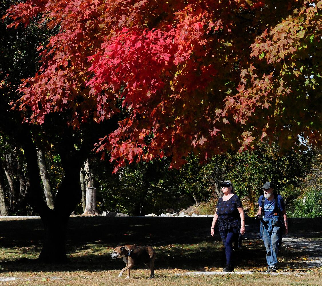 Fall colors