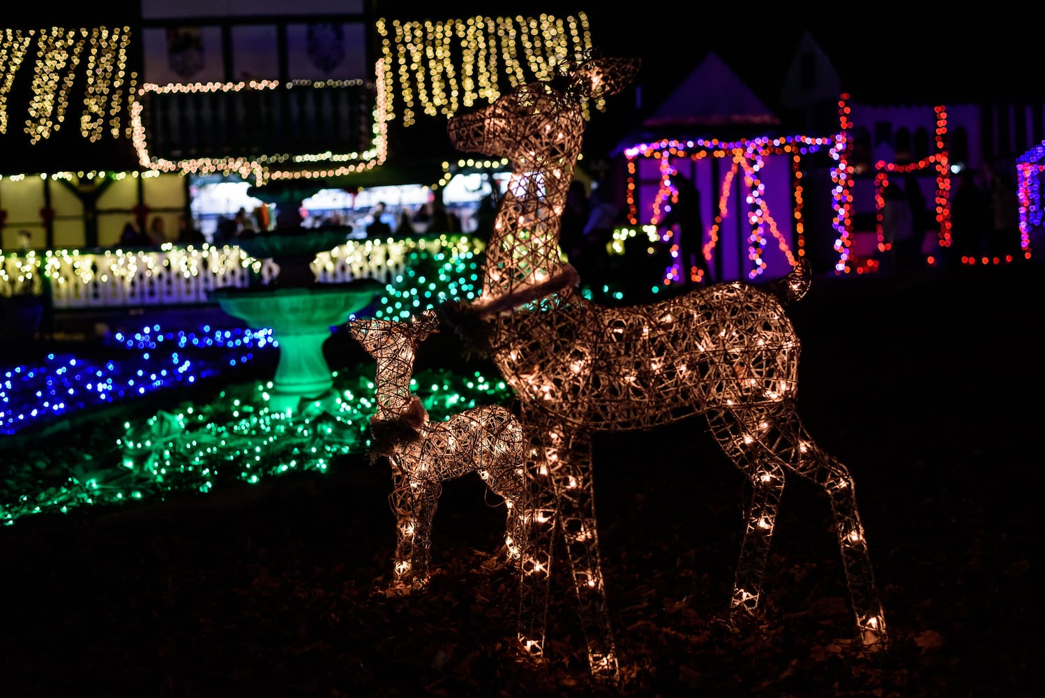 PHOTOS: Yuletide Village: Season of Lights at Renaissance Park Event Center