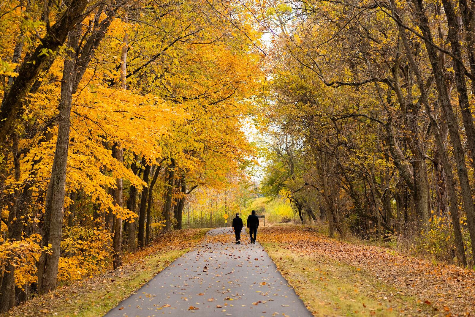 ODNR fall color forester David Parrott is expecting a different fall color season this year - CONTRIBUTED