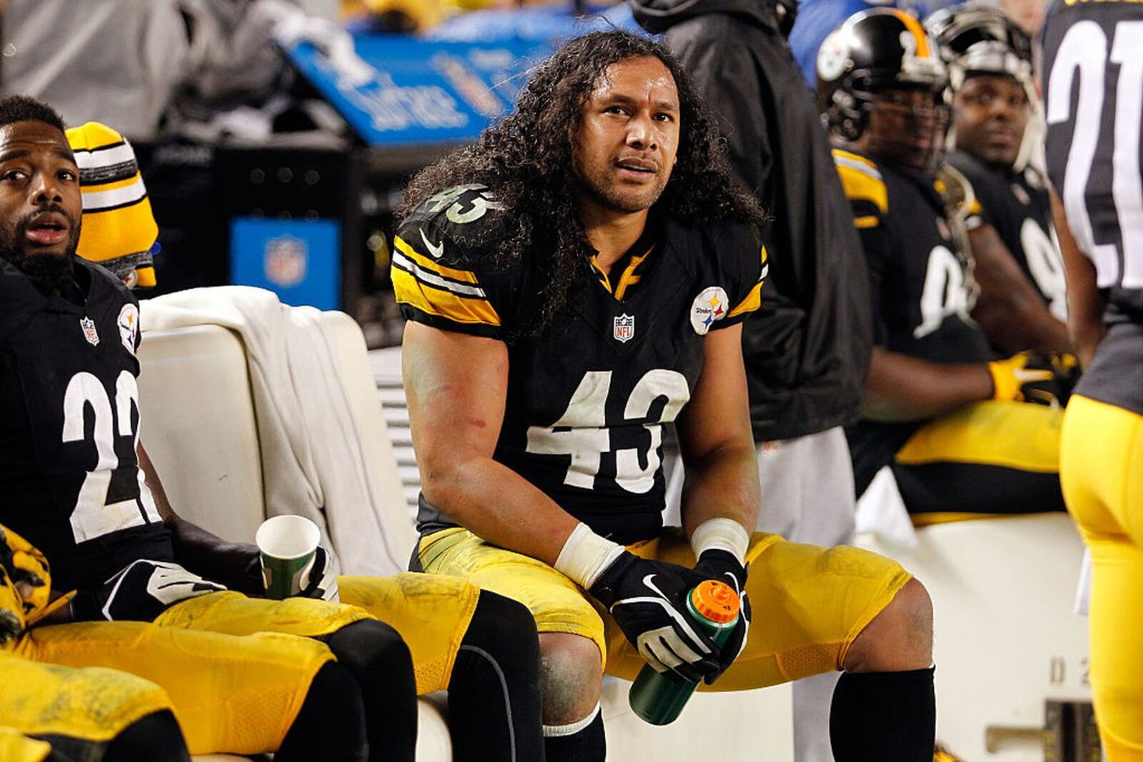 FILE PHOTO: Troy Polamalu was inducted into the NFL Hall of Fame on Saturday. (Justin K. Aller/Getty Images)