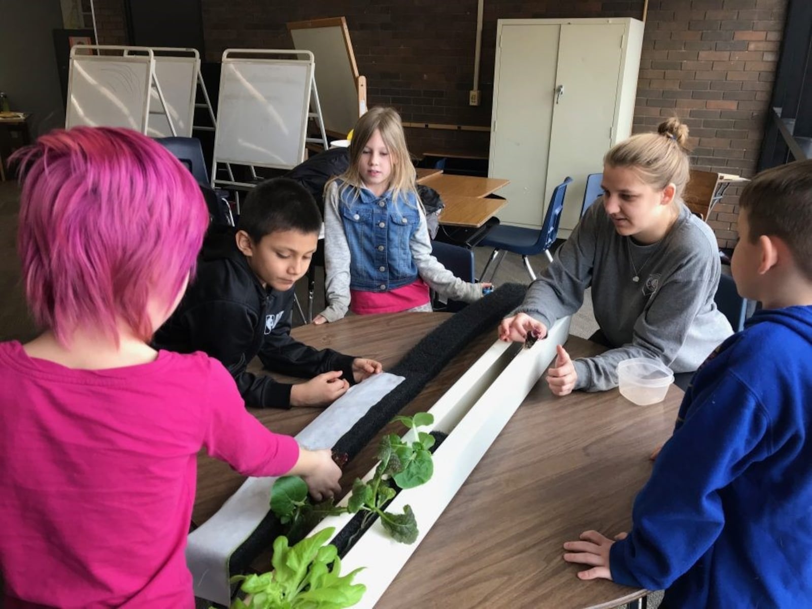 Students at Father Capodanno School in Vass, N.C., learn about hydroponics.