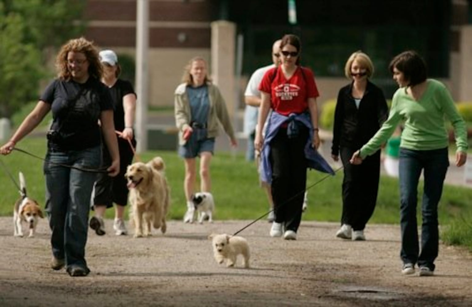 Furry Scurry walk