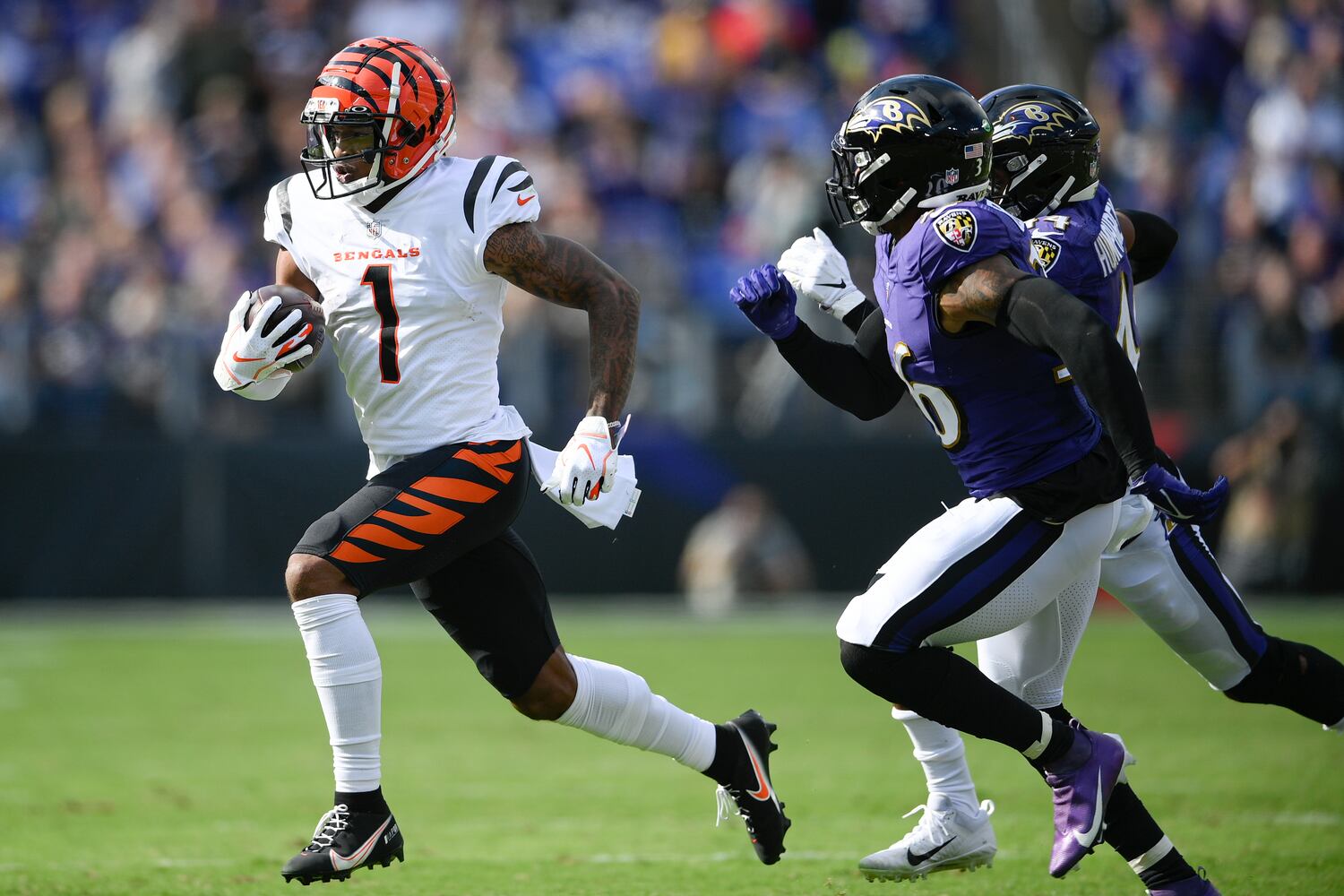 Bengals Ravens Football