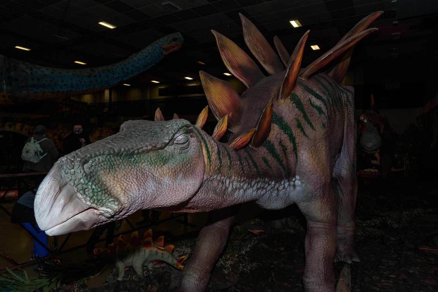 PHOTOS: Did we spot you hanging out with dinosaurs at Jurassic Quest at the Dayton Convention Center?