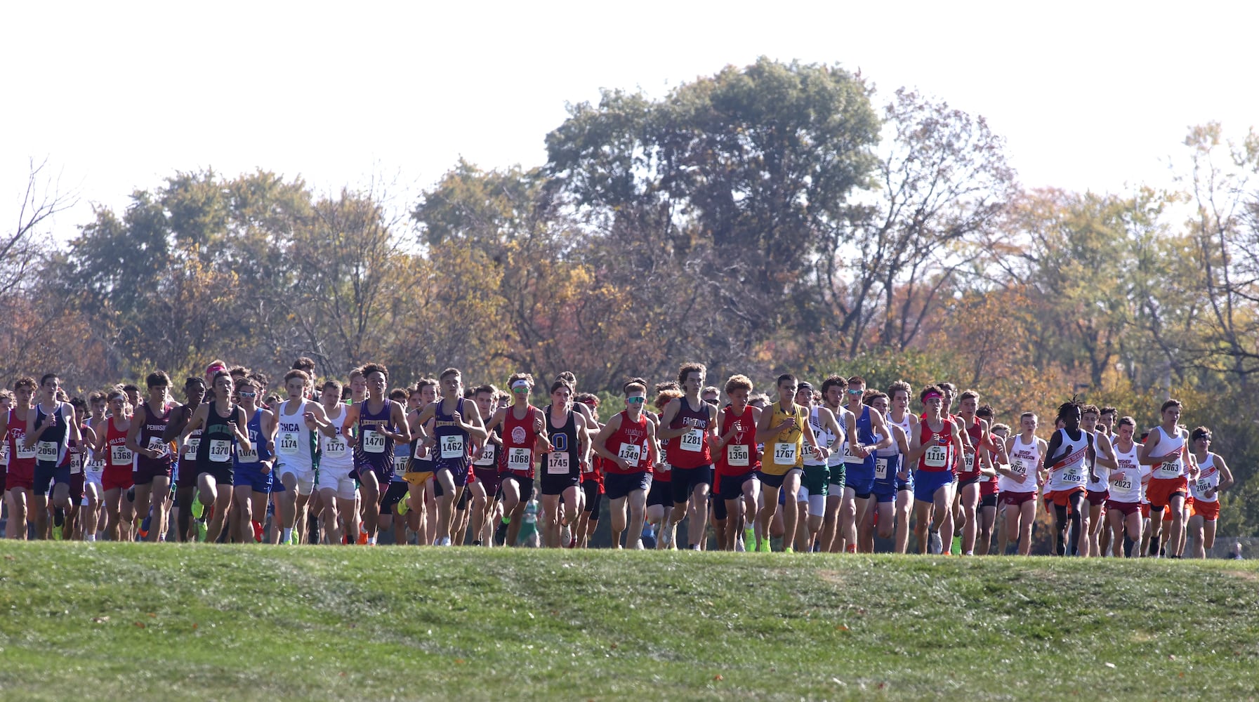 State cross country