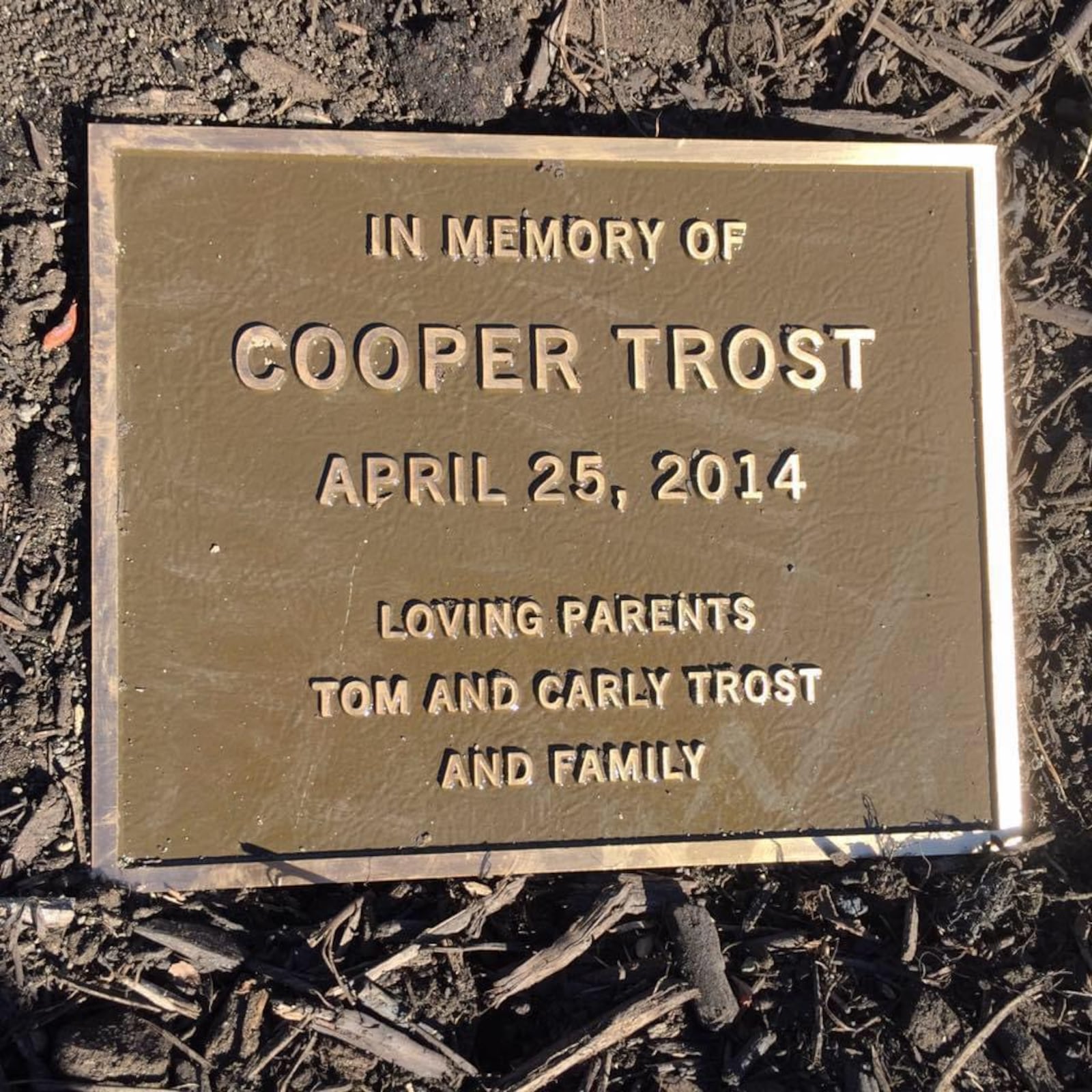 The Trost family visits a tree planted in their late son Cooper's memory every year to celebrate his birthday. CONTRIBUTED