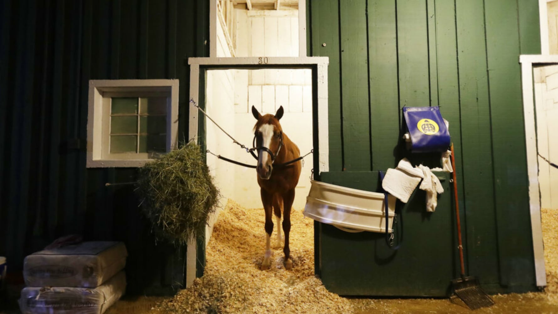 Photos: 2019 Preakness Stakes